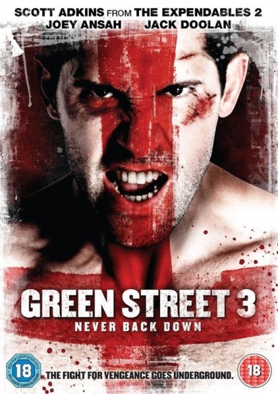 Хулиганы 3 / Green Street 3: Never Back Down [2013] HDRip